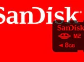 Sandisk 8gb ts