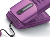 Alcatel mandarinaduck