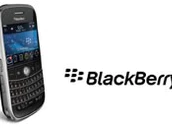 Blackberry bold