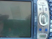 00805ts Palm Zeppelin