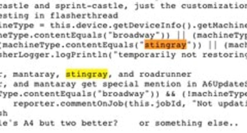 Stingray