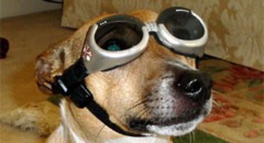 Goggles