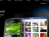 156372 Boldtouchwebsite