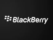 2011283ts 201012ts Blackberry Logo