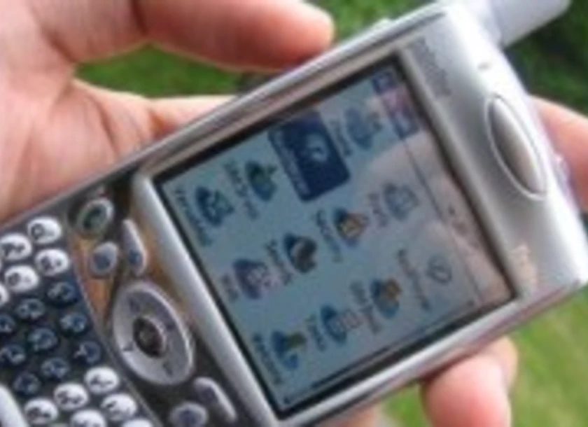 Palm treo650