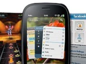 2011311ts 201011 Palmpre2