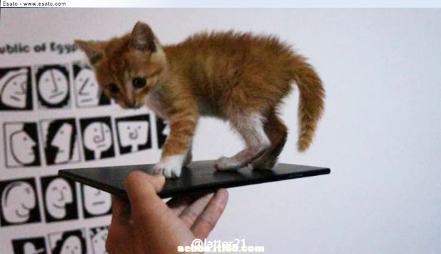 Sony Togari phablet heet mogelijk Xperia ZU