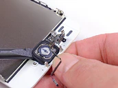 Ifixit Iphone 5s