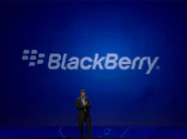 Blackberry In The Dark