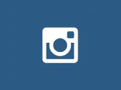 Instagram icon wp