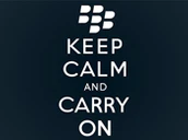 Blackberry Kcco Small