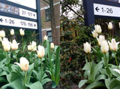 Cameratest Onem8 Galaxys5