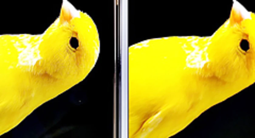 Wqhd fullhd