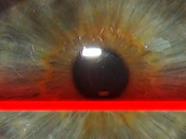 Iris Scanner