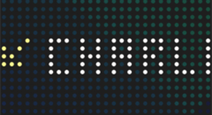 Dotview case