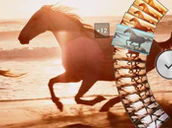 Sony Timeshift Burst