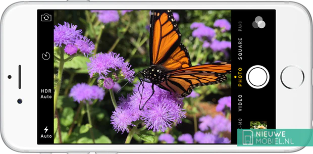 iPhone 6 Focus Pixels