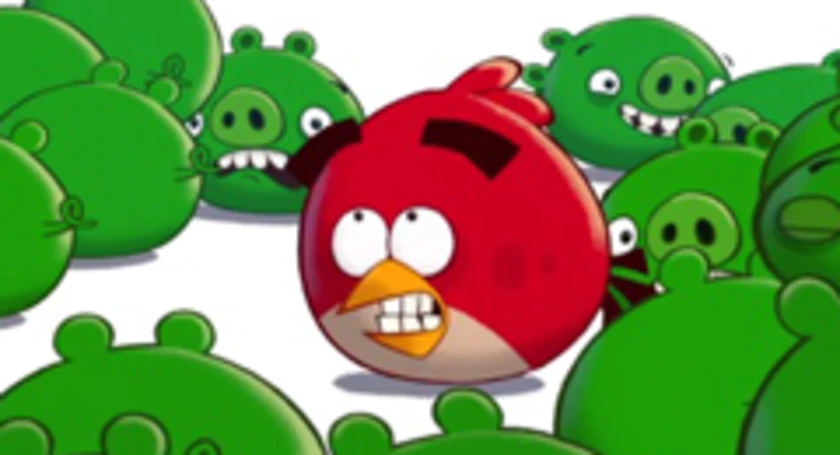 Angry birds attack