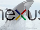 Nexus Whale