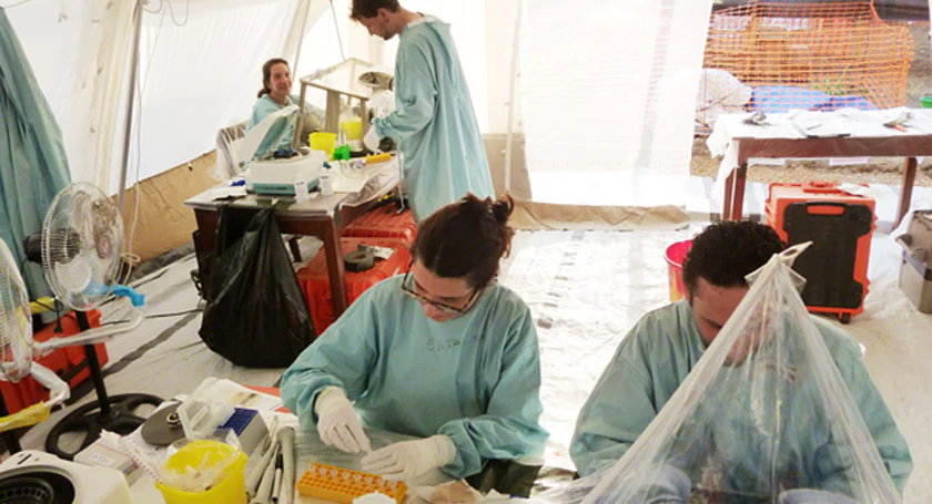Fighting ebola