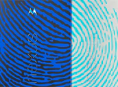 Nexus Fingerprint