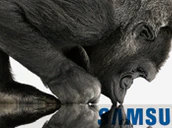 Corning Samsung
