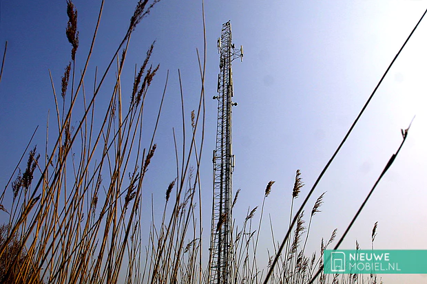 Antenne in het riet