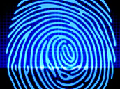 Fingerprint