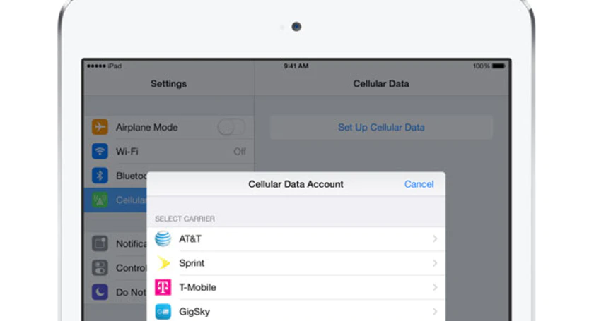 Ipad apple sim