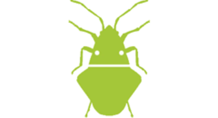 Android bug