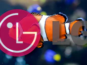 Lg Nemo