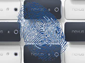 Nexus Fingerprint