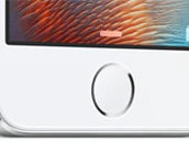 Iphone 5s Front Homebutton