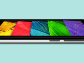 Honor Holly Landscape