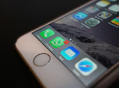 Whatsapp Notification