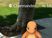 Pokemon Go Charmander