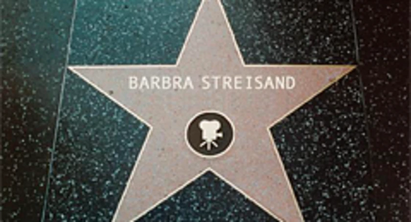 Barbra streisand hollywood star