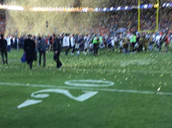 Blurry Iphone Foto Tim Cook