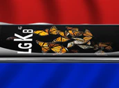 Lg K8 Nederland