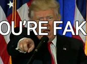 Trump Fake