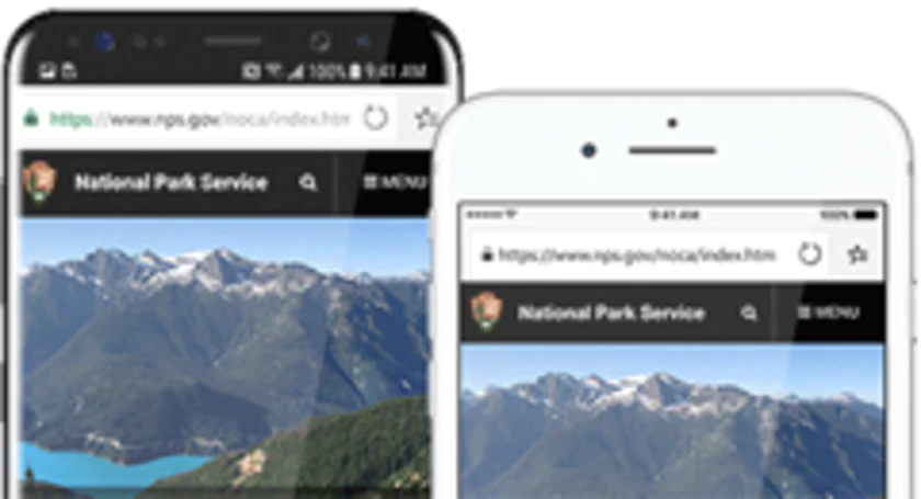 Microsoft edge phones