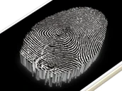 Fingerprint Scanner Display