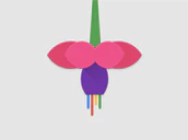 Google Fuchsia