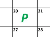 Android P August 20 Evleaks