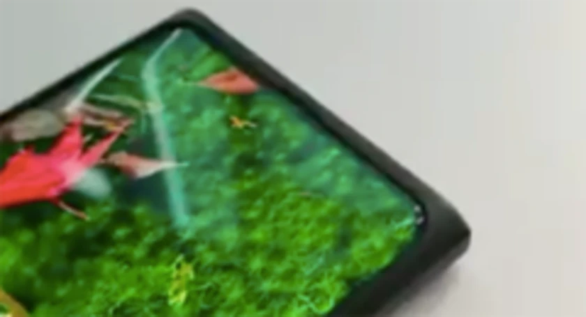Oppo under display camera