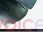 Samsung S21 Voice Evan