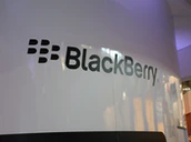 Blackberry Wall Small