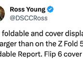 Tweet Ross Young Samsung Flip 6