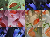 Google Pixel 9 Wallpapers Leaked Android Authority