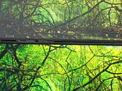 Iphone Vs S24ultra Gorilla Glass Armor Universeice